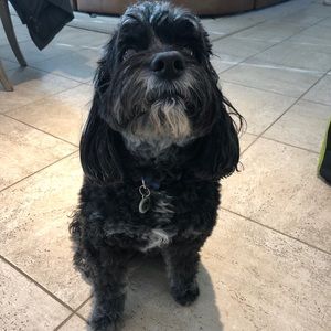 Meet your Posher, Margie